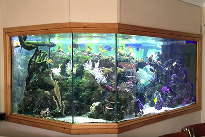 Житель США превратил свой дом в аквариум за 230 тысяч долларов