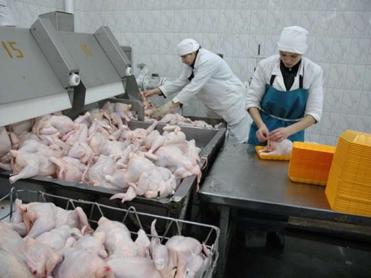 Статистики отметили рост производства продукции птицеводства в Омской области