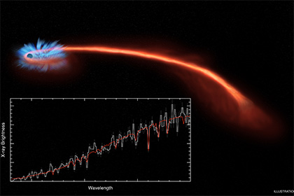 НАСА показало уничтожение звезды черной дырой