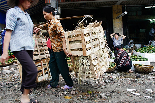 Как госкорпорации тормозят вьетнамское экономическое чудо: Политика: Мир: