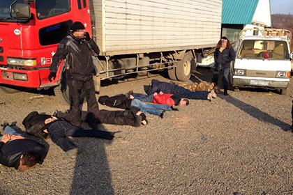 В Хабаровском крае арестованы похититители кедровых орехов