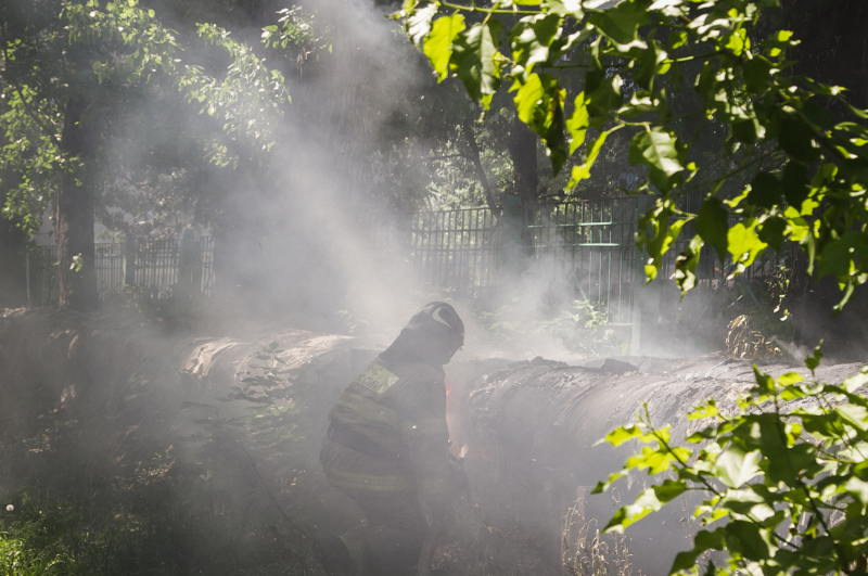 Крупный пожар из-за тополиного пуха в Омске: горели гараж, теплотрасса и деревья #Омск #Общество #Сегодня