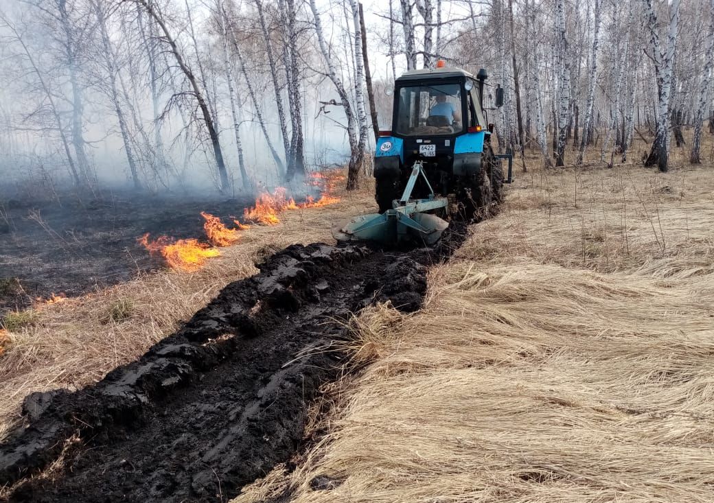Омского фермера оштрафовали на 50 тысяч за лесной пожар #Новости #Общество #Омск