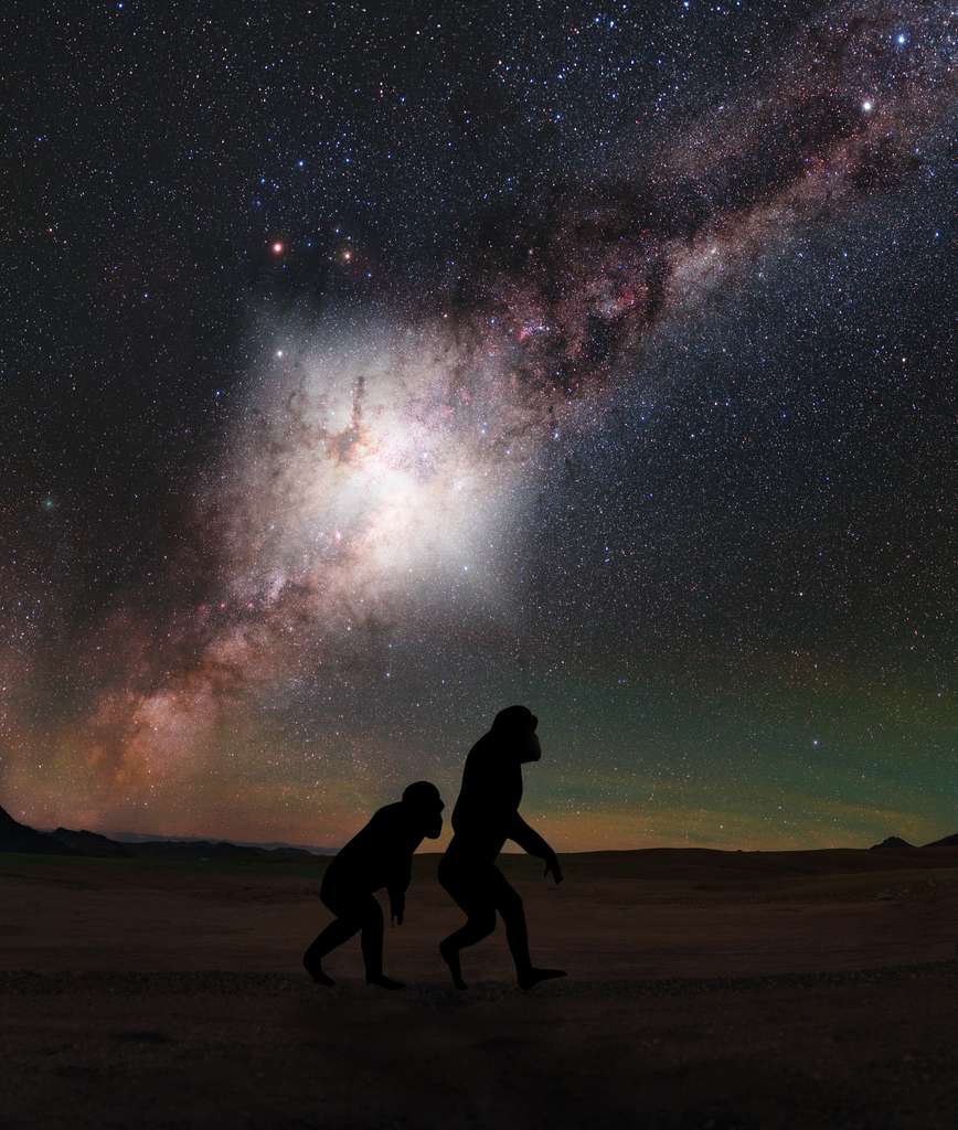 3,5 миллиона лет назад австралопитеки увидели, как небо посветлело