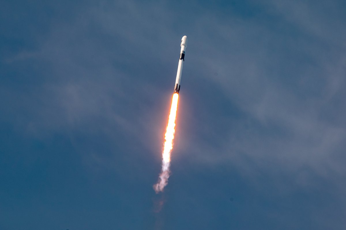 Еще один рекордный год вырисовывается для SpaceX Еще один рекордный год вырисовывается для SpaceX