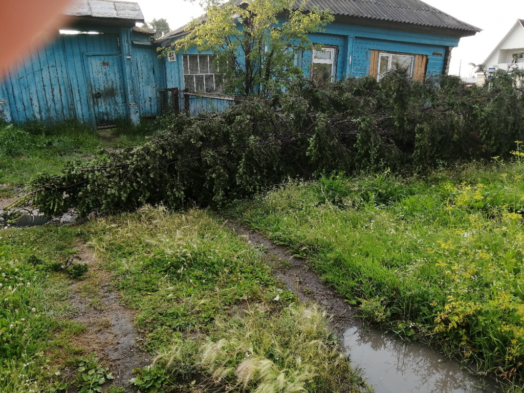 Над Тарой пронесся мощный ураган #Новости #Общество #Омск