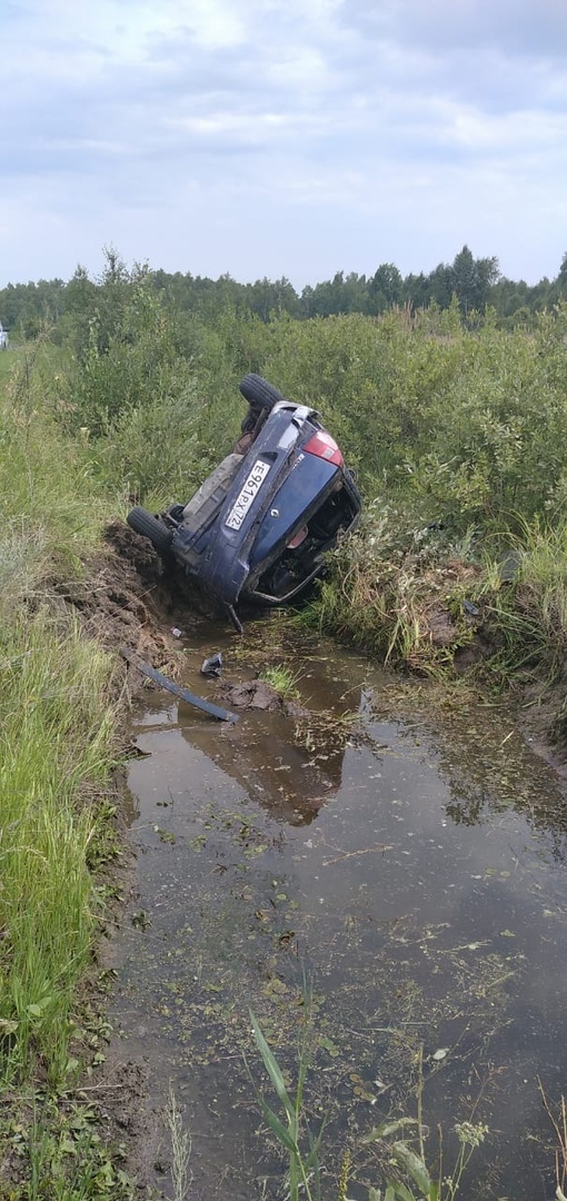 Двое пьяных автолюбителей из Омской области сели за руль и оказались в кювете #Омск #Общество #Сегодня