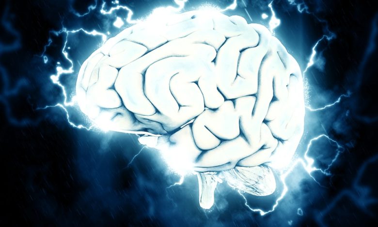 По словам Илона Маска, Neuralink сможет транслировать музыку в мозг!