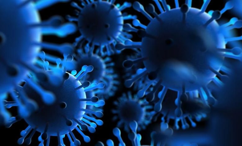 Что появилось раньше: клетки или вирусы?