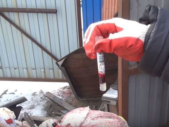 В омских выбросах уличили компанию, из-за которой появилась «кровавая свалка» с эмбрионами #Новости #Общество #Омск