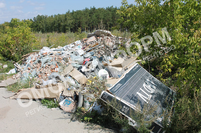 На бывшей территории парка Победы хотят построить еще 12 коттеджей #Омск #Общество #Сегодня