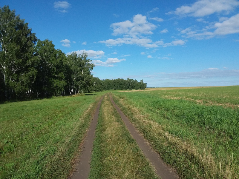 Синоптики заявили, что лето в Омской области закончилось #Омск #Общество #Сегодня