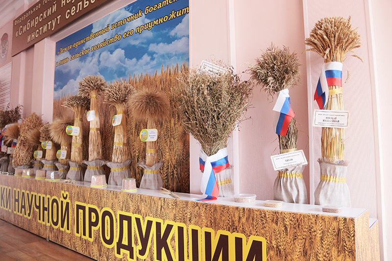 В Омском аграрном научном центре подвели итоги года и наградили лучших работников #Омск #Общество #Сегодня