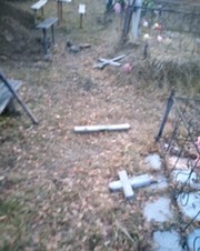 В Омской области школьники разгромили сельское кладбище #Новости #Общество #Омск