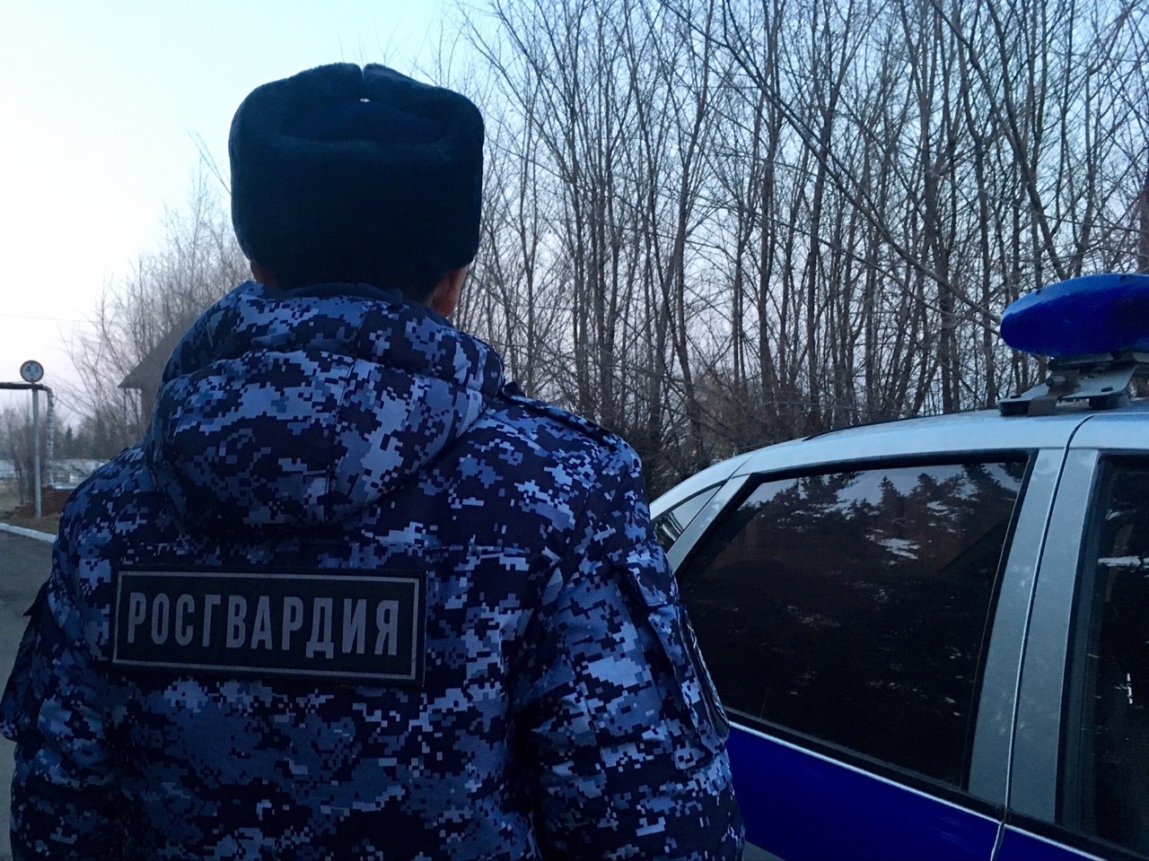 Сбежавший из-под ареста в Барнауле омич бился головой об асфальт #Омск #Общество #Сегодня