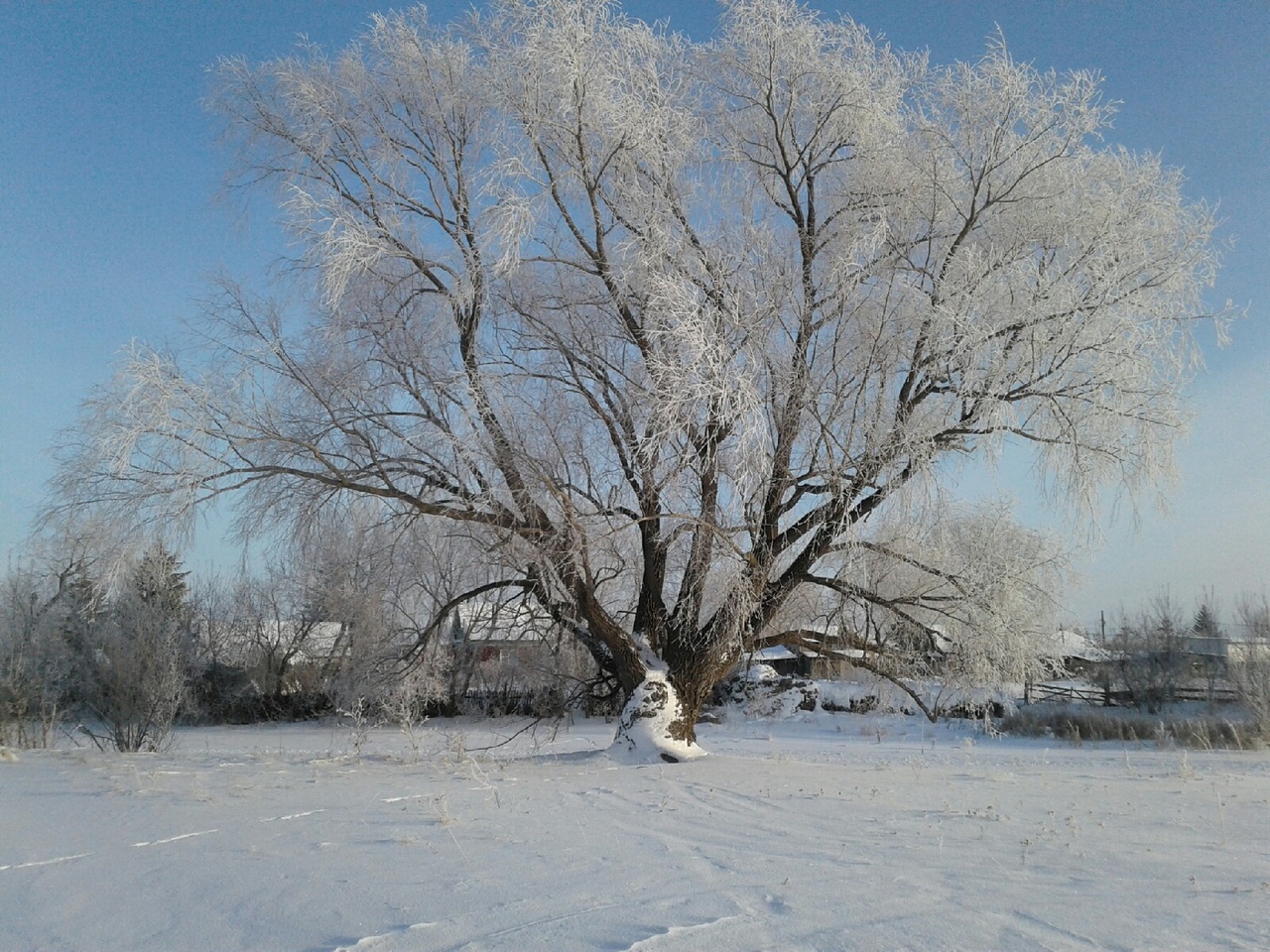 В Омской области ударят 20-градусные морозы #Новости #Общество #Омск