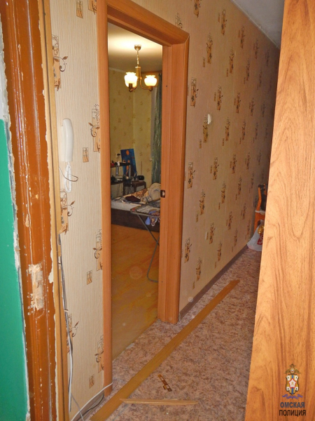 Рецидивист выломал дверь в квартире омички и вынес все ценное #Новости #Общество #Омск