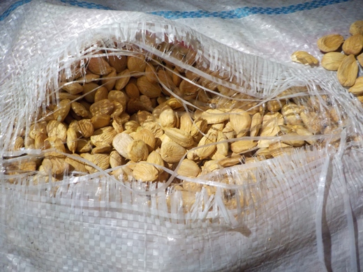 В Омскую область не пустили фуры со 185 тоннами фруктов, орехов и риса #Новости #Общество #Омск