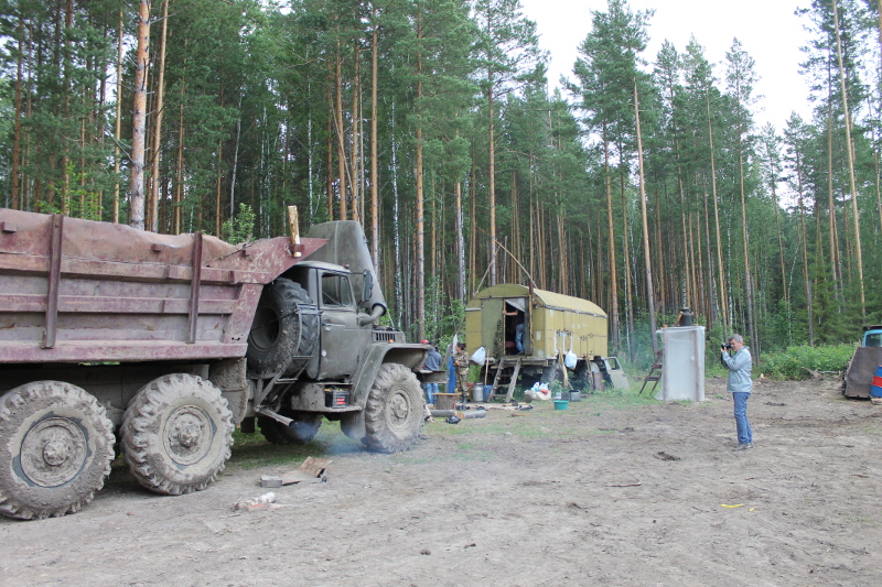 Бизнесмен вырубил тарский лес и недоплатил за него 1,3 млн рублей