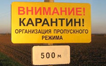 В Омской области возник четвертый очаг бешенства за неделю #Омск #Общество #Сегодня