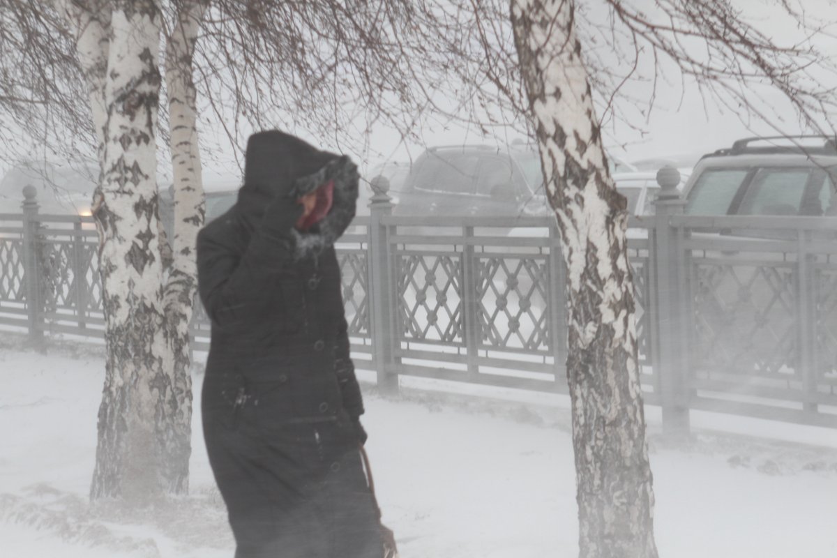 Конец февраля будет в Омской области снежным и морозным #Омск #Общество #Сегодня