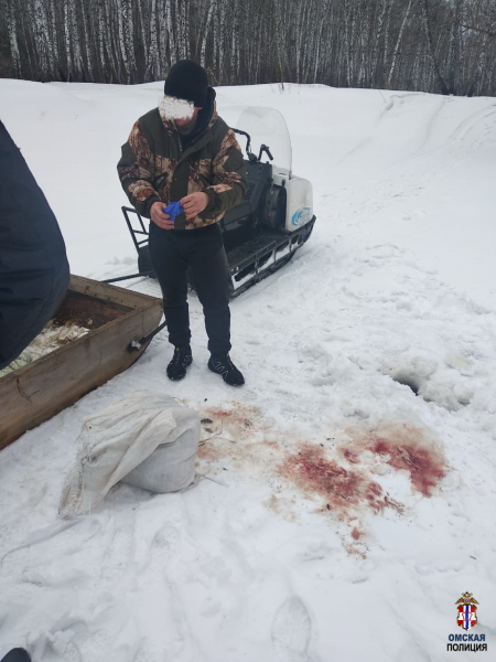 Омич зверски убил косулю, которая завязла в глубоком снегу #Новости #Общество #Омск