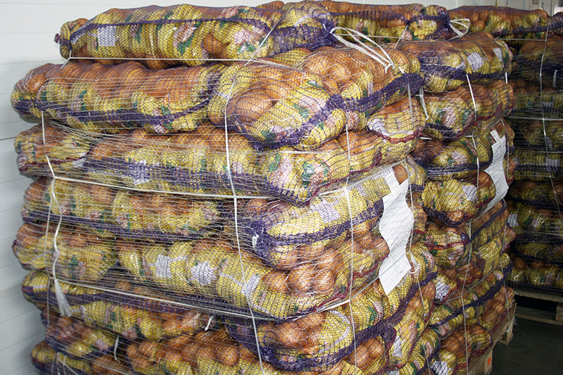 Когда в Омской области будет достаточно картошки? #Омск #Общество #Сегодня