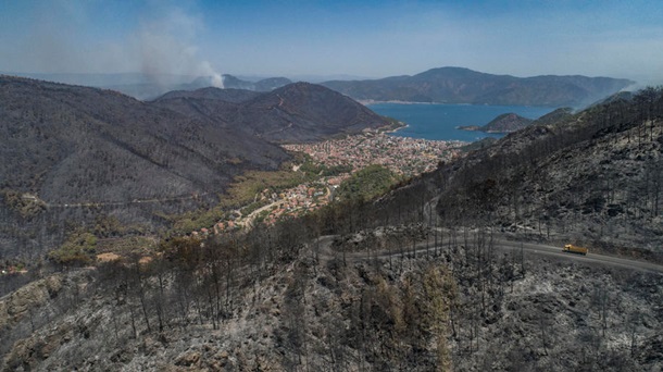 Эрдоган назвал возможную причину лесных пожаров