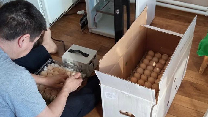 Омские семьи активно развивают подсобные хозяйства по соцконтрактам #Новости #Общество #Омск Омские семьи активно развивают подсобные хозяйства по соцконтрактам #Новости #Общество #Омск