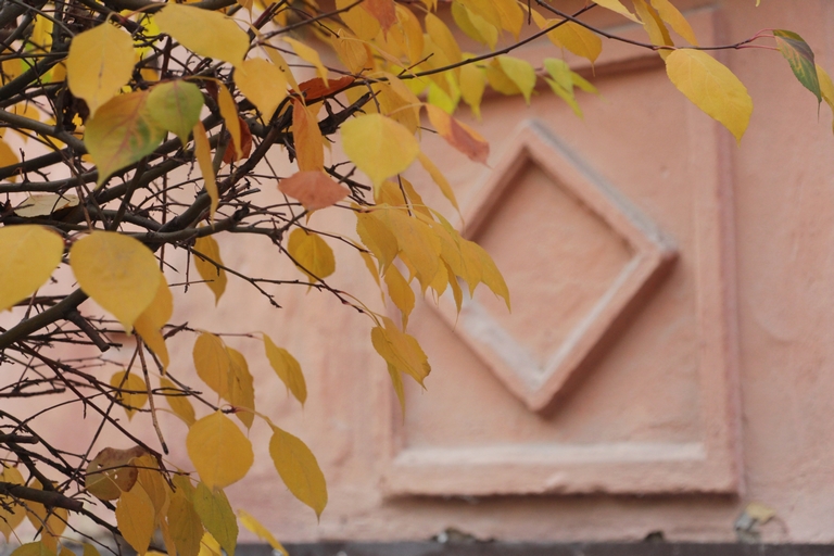 «Безумно романтичное время»: 5 локаций для наслаждения омской осенью #Омск #Общество #Сегодня «Безумно романтичное время»: 5 локаций для наслаждения омской осенью #Омск #Общество #Сегодня