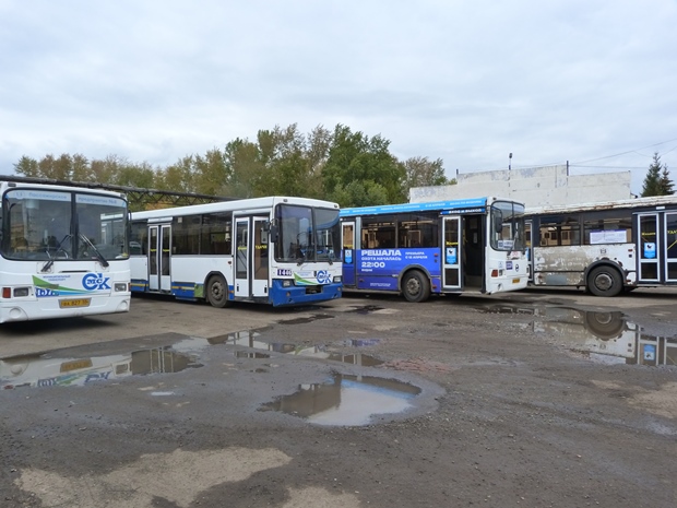 В России не будет бесплатного общественного транспорта #Новости #Общество #Омск