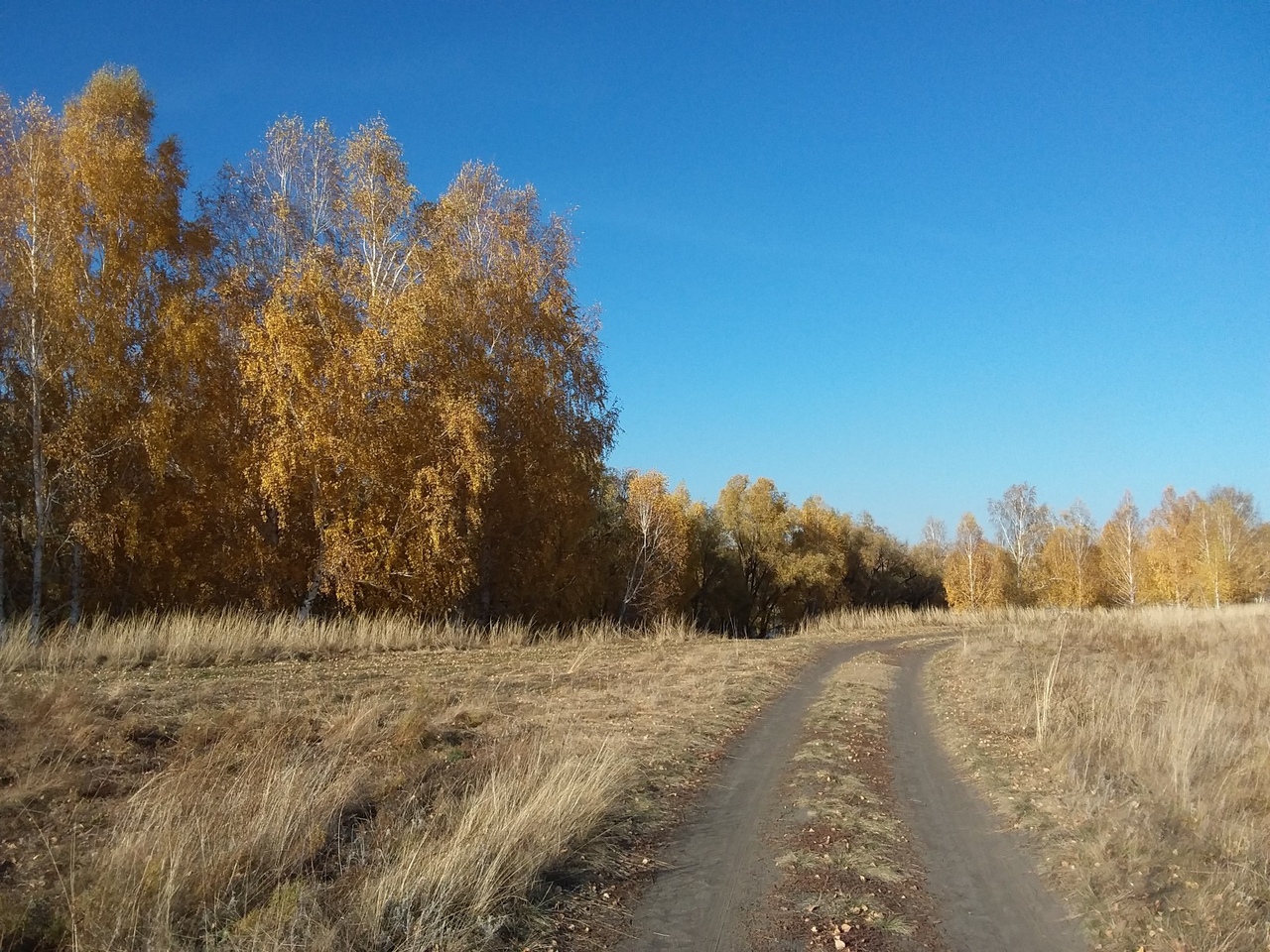 Теплая и солнечная погода продержится в Омской области еще несколько дней #Омск #Общество #Сегодня