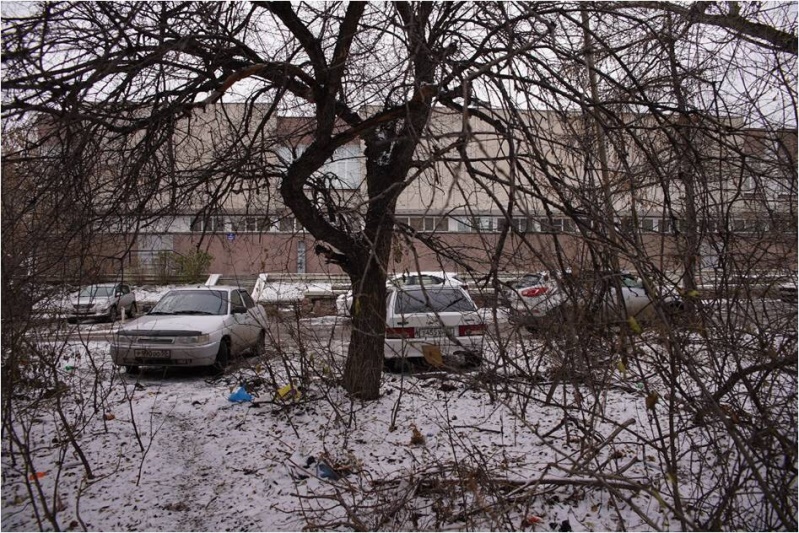 «Городской сад» в Омске приведут в порядок за 60 млн #Новости #Общество #Омск