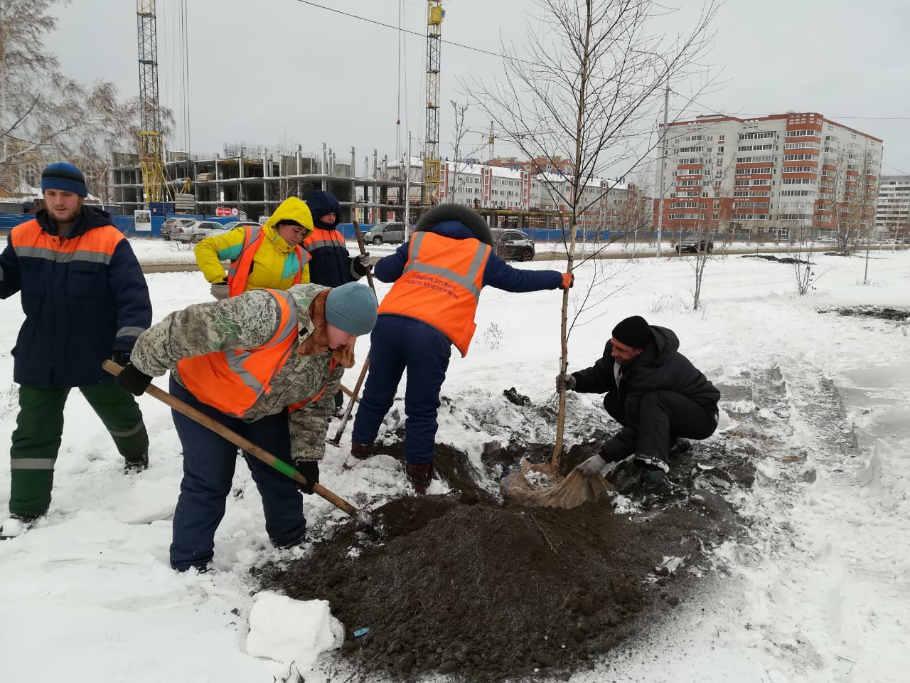 В центре Омска появятся 60 новых деревьев #Омск #Общество #Сегодня В центре Омска появятся 60 новых деревьев #Омск #Общество #Сегодня