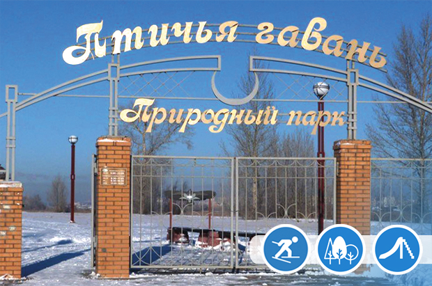 Где зимой провести время в Омске, если кругом QR-коды? #Новости #Общество #Омск