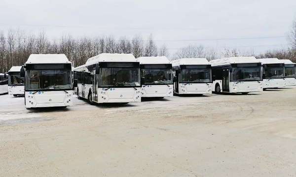Омск приобретет 51 газовый автобус без затрат из бюджета #Новости #Общество #Омск