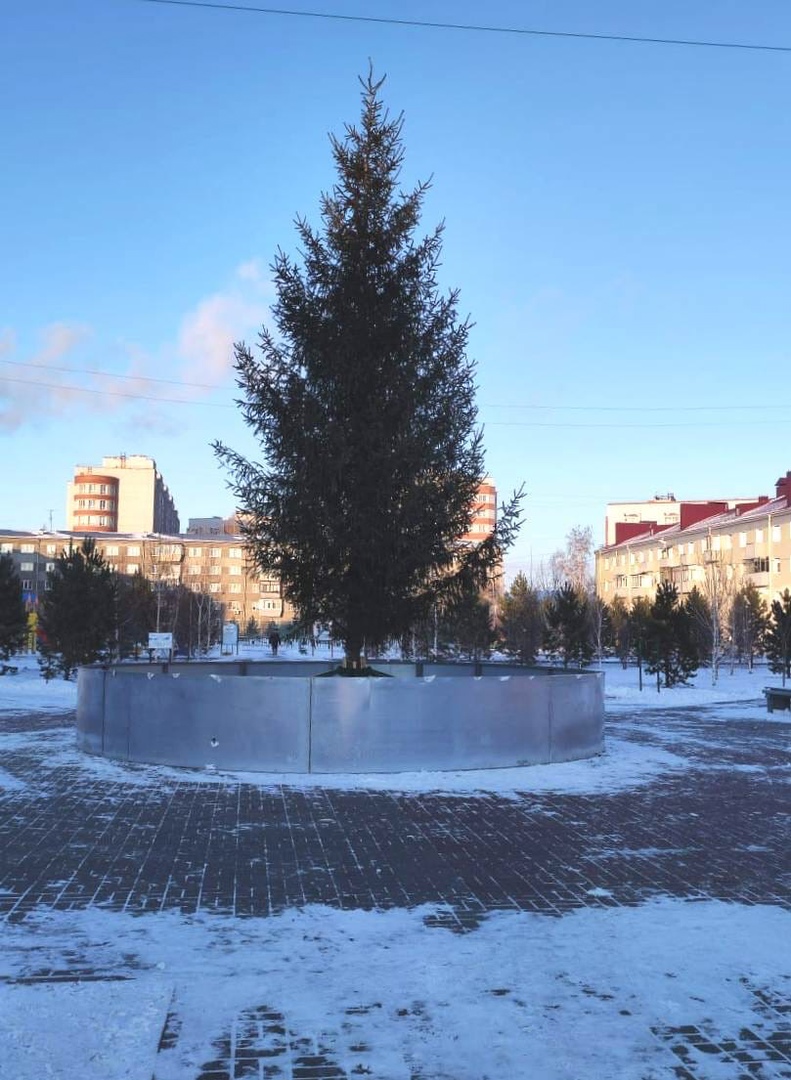 На Левобережье Омска уже ставят елки к Новому году #Омск #Общество #Сегодня
