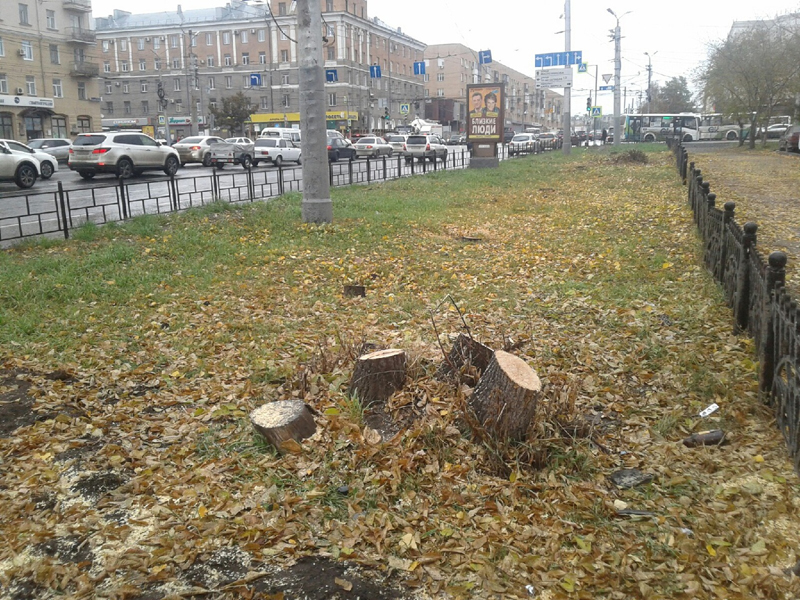 Сокин рассказал, когда Омск станет городом-садом #Новости #Общество #Омск