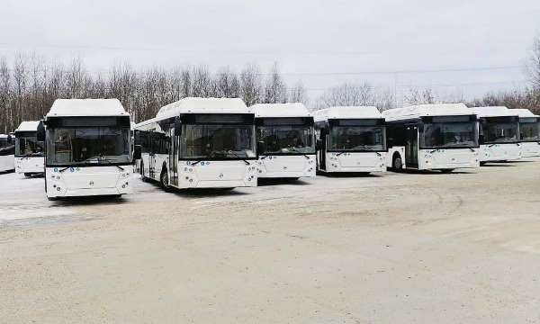 В Омск прибыли почти полсотни новых «газовых» автобусов #Новости #Общество #Омск