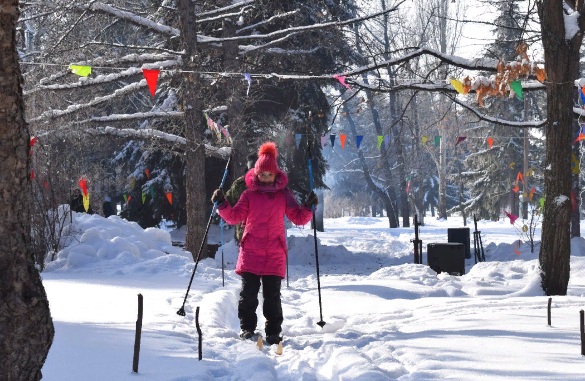 Омичей зовут покататься на лыжах в дендропарке им. Комиссарова #Омск #Общество #Сегодня