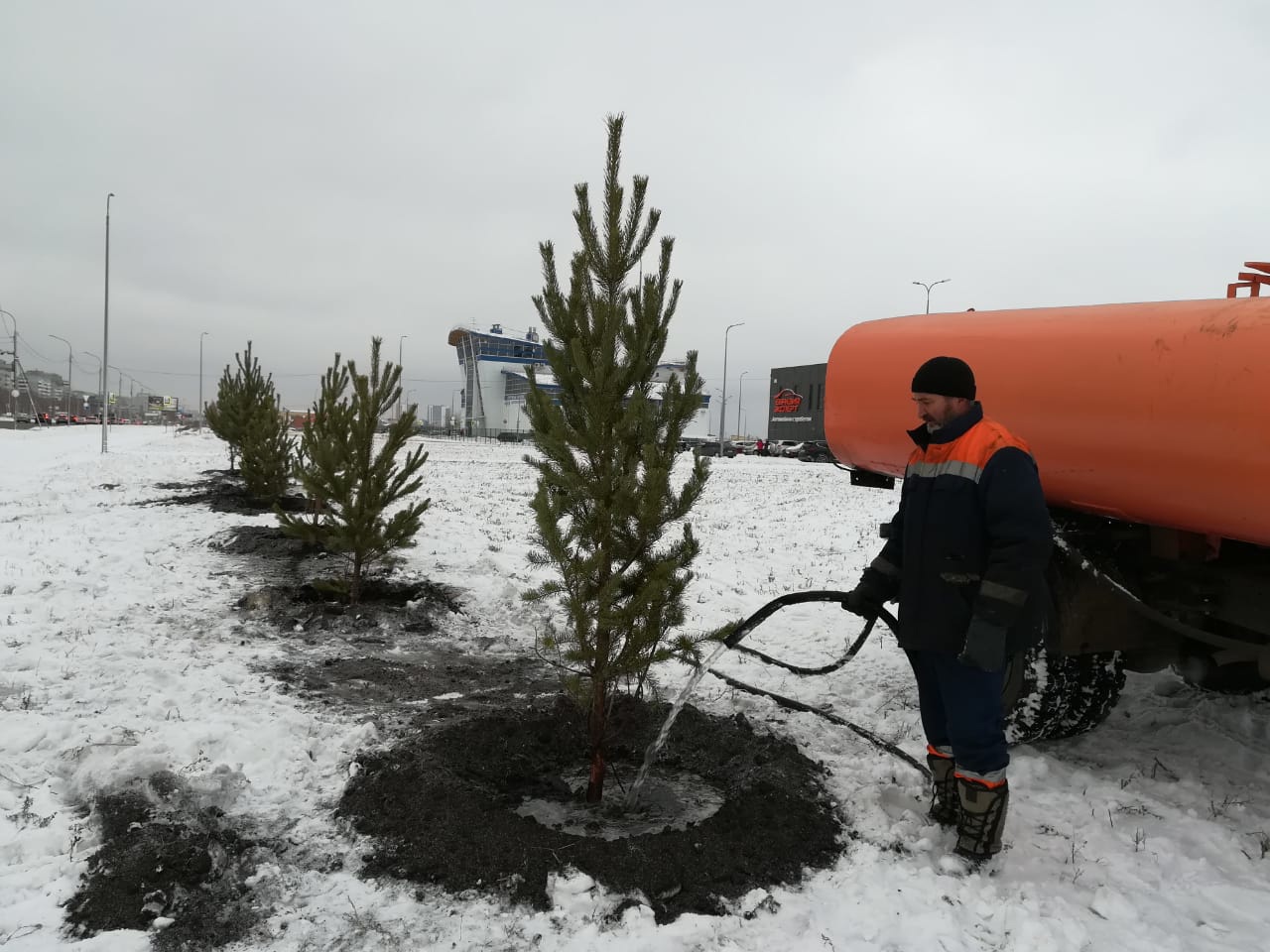 На сохранение лесов Омская область получит почти 80 млн #Новости #Общество #Омск На сохранение лесов Омская область получит почти 80 млн #Новости #Общество #Омск