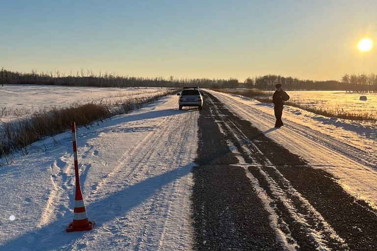 В Омской области юная пассажирка на ходу выпала из машины #Омск #Общество #Сегодня