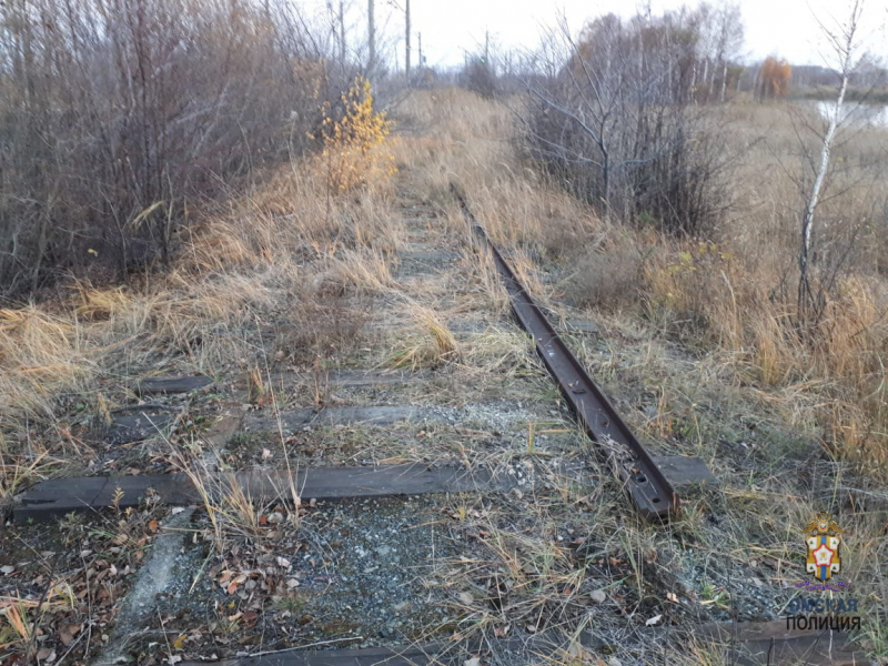 Жители Омской области целый год разбирали ж/д пути #Омск #Общество #Сегодня