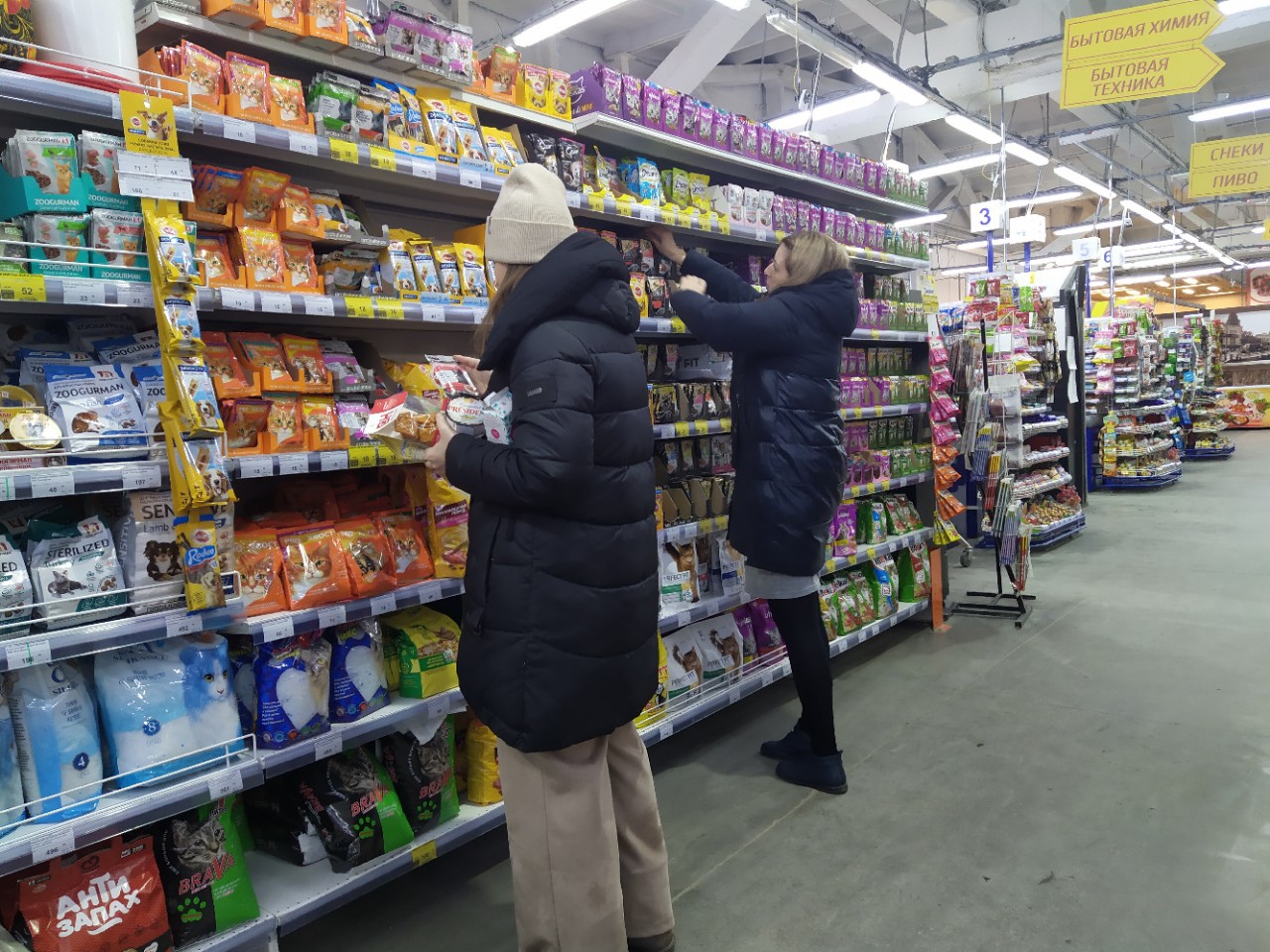 В Омске из-за санкций могут исчезнуть дорогие кошачьи корма #Омск #Общество #Сегодня