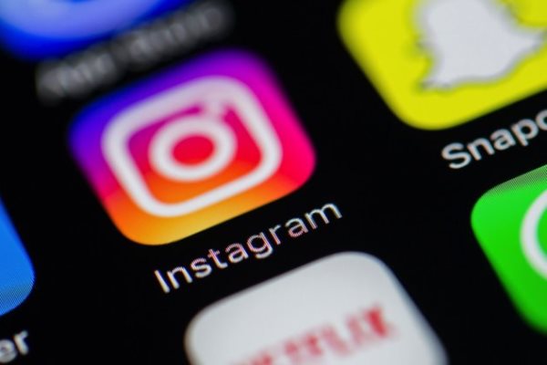 Депутат рассказал, что теперь будет за котиков в Instagram #Омск #Общество #Сегодня