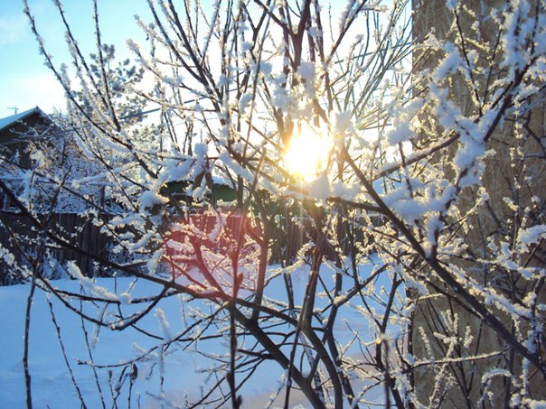 В начале рабочей недели омичей ждет потепление до +5 #Омск #Общество #Сегодня