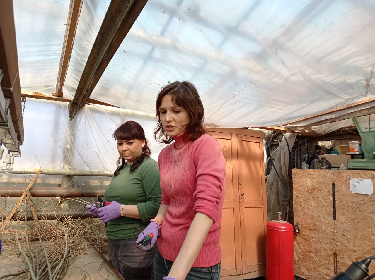 Столетняя ива в Омске дала «потомство» #Омск #Общество #Сегодня Столетняя ива в Омске дала «потомство» #Омск #Общество #Сегодня