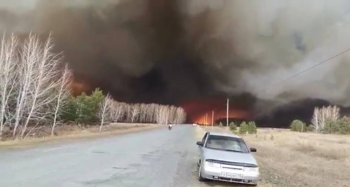 В Омской области сгорел детский лагерь и большой сосновый бор #Омск #Общество #Сегодня