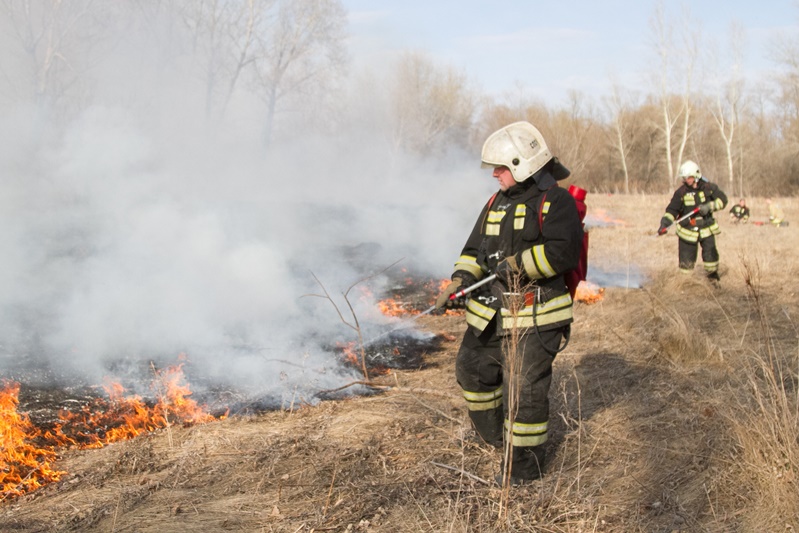 Лишь 78 омичей оштрафовали за поджог сухой травы #Новости #Общество #Омск