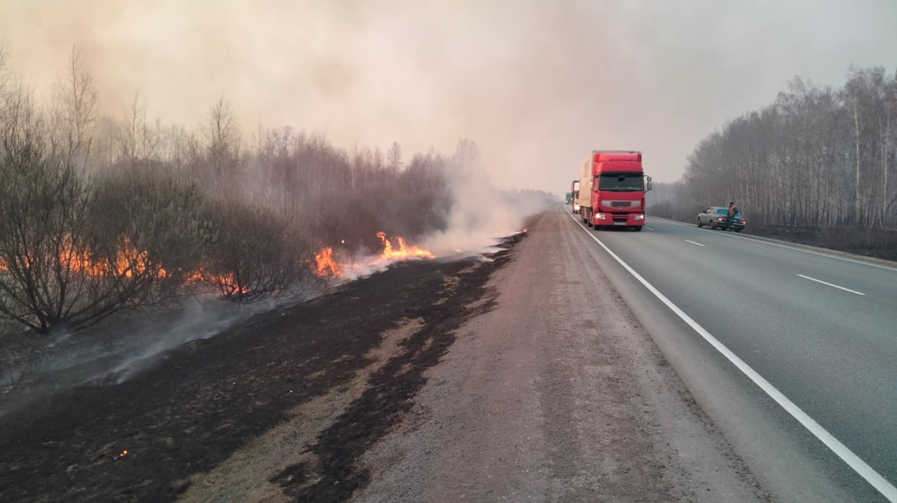 В объятом пожарами Называевском районе поймали двух поджигателей #Новости #Общество #Омск